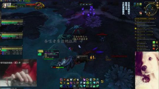 # 狗爷 - 实在是睡不着 2019-07-09 05点场