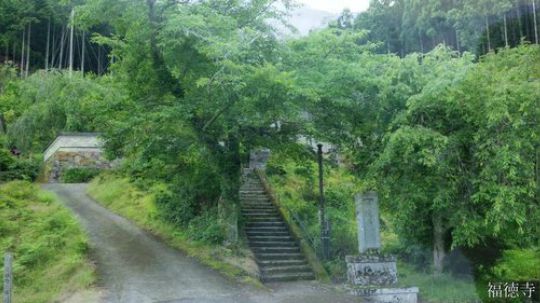 4K 夏の京都 2019.07