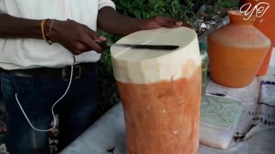 【印度树根芝士都拿来吃而且是主食】 树根  印度