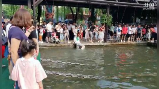 流年手中逝发布了一个斗鱼视频2019-07-16