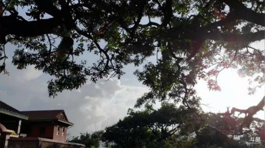 祝贺斗鱼上市【浪迹】第一站尼泊尔 2019-07-17 19点场