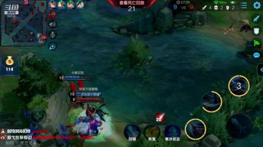 我在斗鱼看游弋直播王者荣耀