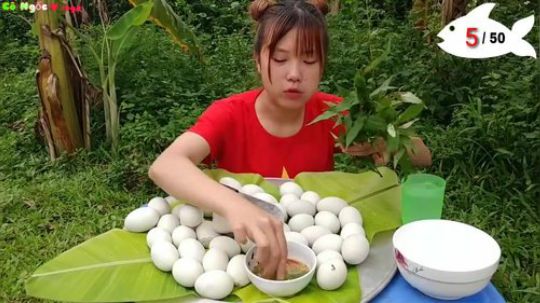 荒野小姐姐 50个鸭蛋的吃播