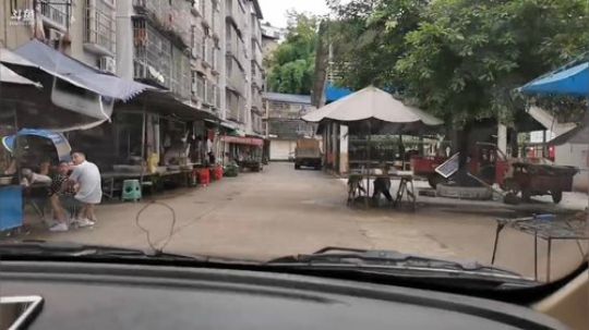 一夜暴雨，地龙还在否？ 2019-07-17 17点场