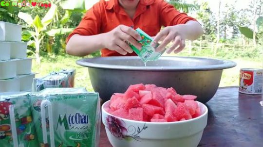 荒野小姐姐 - 炎热的夏天吃这个最解暑了