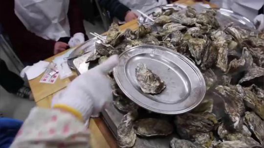 大锅清蒸生蚝一锅100只 日本生蚝