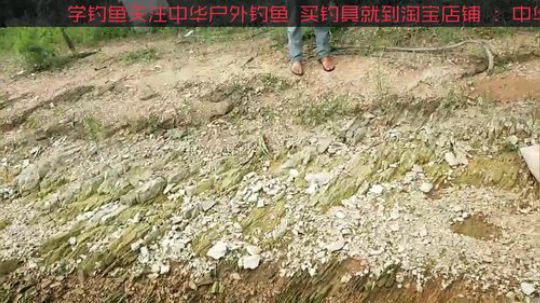 黄沙水库换窝点 2019-07-18 16点场