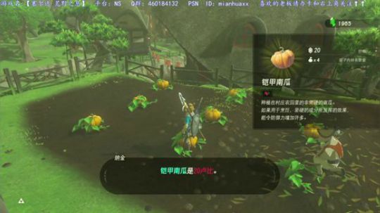 春日迟迟，卉木萋萋。大师模式，荒野之息 2019-07-17 05点场