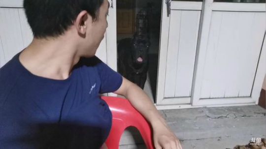 铁血丶苟且君发布了一个斗鱼视频2019-07-18