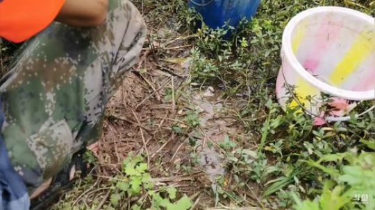龙虾收割机来啦！！ 2019-07-18 15点场
