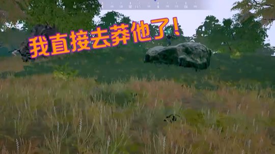莽夫一枚，别慌……