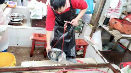 高山人家《乡民的晚餐》 2019-07-16 12点场