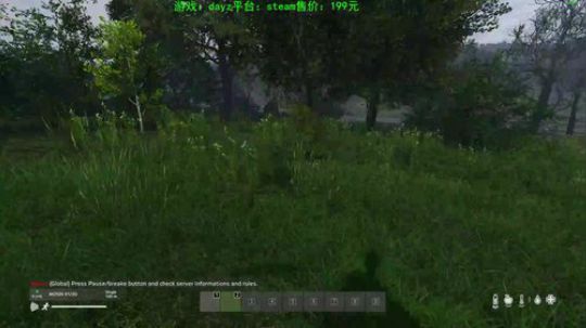dayz 僵尸末日1.04 2019-07-18 15点场