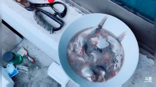 龙井碧螺春铁观音毛尖大红袍 2019-07-19 04点场