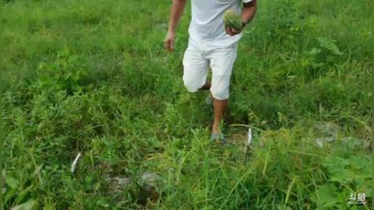 西瓜节开始。 2019-07-20 10点场