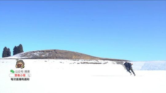 哆啦爱梦梦发布了一个斗鱼视频2019-07-20