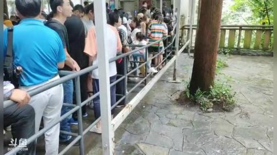 年受：请假条看鱼吧置顶 2019-07-18 10点场