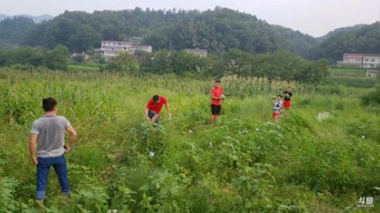 西瓜节开始。 2019-07-20 17点场