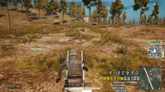 【错觉老中医】双排11杀吃鸡
