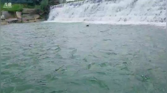 西瓜节开始。 2019-07-20 13点场