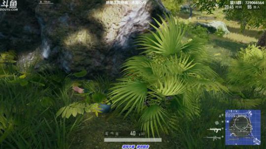 馒头:TPP单排7400分鱼塘局 2019-07-17 23点场