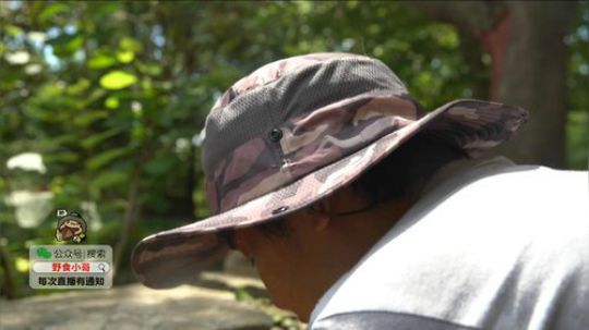 哆啦爱梦梦发布了一个斗鱼视频2019-07-21