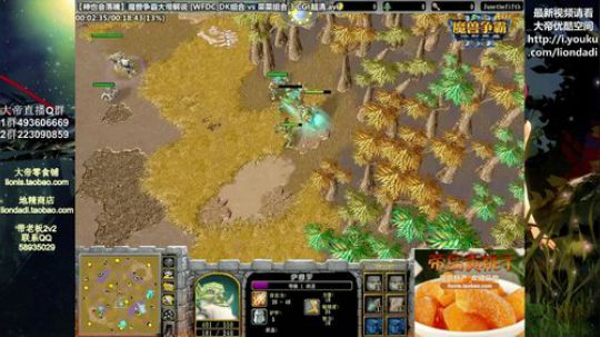 我在斗鱼看大帝LioN直播魔兽争霸