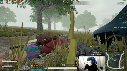 我在斗鱼看pigff直播绝地求生