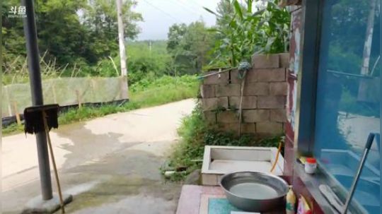 带着水友去卖西瓜。 2019-07-21 10点场