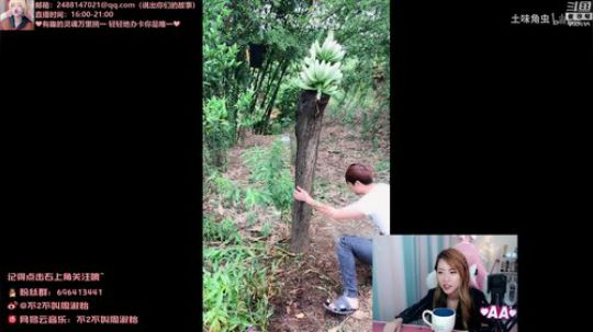 Poisonfd发布了一个斗鱼视频2019-07-21