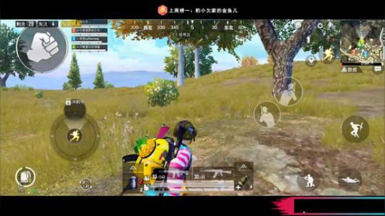 logo认证号带粉 搞怪你欠爷人狠路子野 2019-07-21 19点场