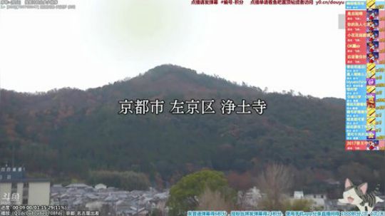 我在斗鱼看懒猫是只喵直播一起看