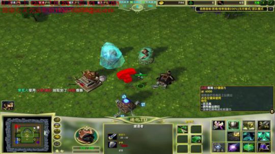 龙井碧螺春铁观音毛尖大红袍 2019-07-22 11点场