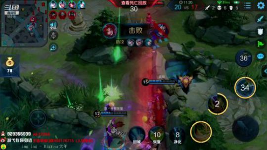 我在斗鱼看游弋直播王者荣耀