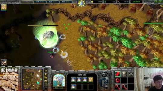 我在斗鱼看大帝LioN直播魔兽争霸