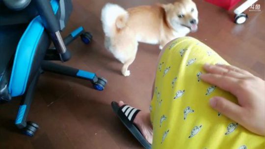 顾影无如白发何丶发布了一个斗鱼视频2019-07-23