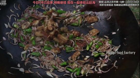 胖胖OB：直播 Faker\IG\RNG 2019-07-18 04点场