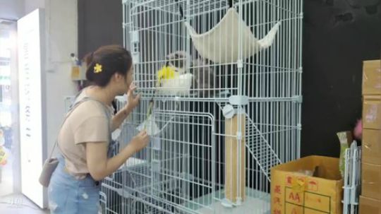 惜雨天天彡零九九二彡发布了一个斗鱼视频2019-07-24