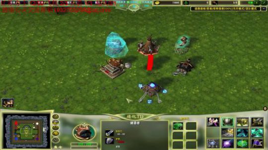 龙井碧螺春铁观音毛尖大红袍 2019-07-25 15点场