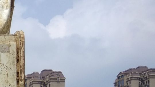 星露谷物语