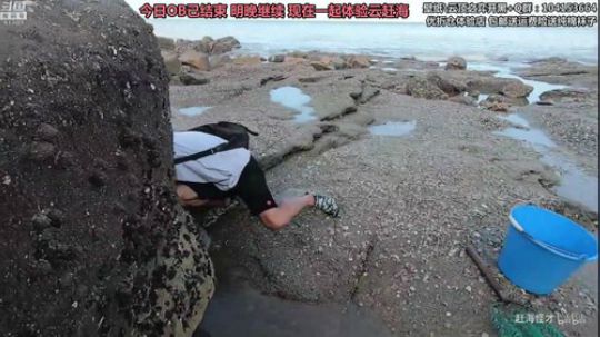 胖胖OB：直播 Faker\IG\RNG 2019-07-18 02点场