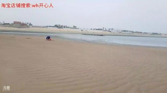 西北老狼哥哥发布了一个斗鱼视频2019-07-25