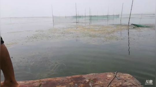科头溜子发布了一个斗鱼视频2019-07-25