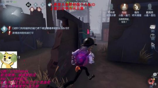 甜瓜：没有睡午觉的甜瓜 2019-07-24 18点场