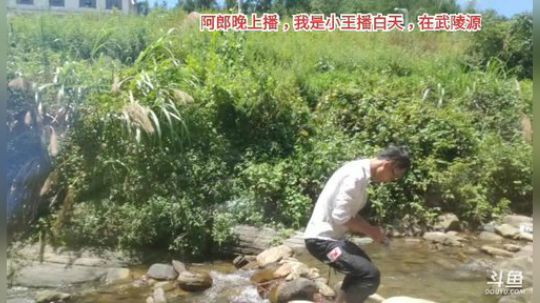 小王南昌一路向西去西藏第20天-武陵源 2019-07-26 11点场