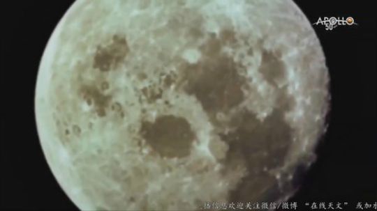 户外遛狗王飞哥发布了一个斗鱼视频2019-07-26