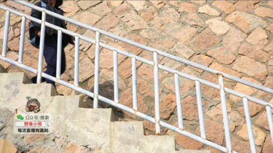 哆啦爱梦梦发布了一个斗鱼视频2019-07-26