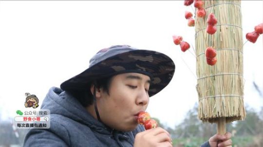 我在斗鱼看野食小哥直播美食