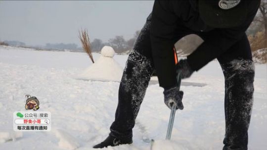 哆啦爱梦梦发布了一个斗鱼视频2019-07-26