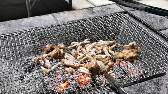 一生守护铁公鸡发布了一个斗鱼视频2019-07-27